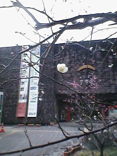 190128_1418~001.jpg